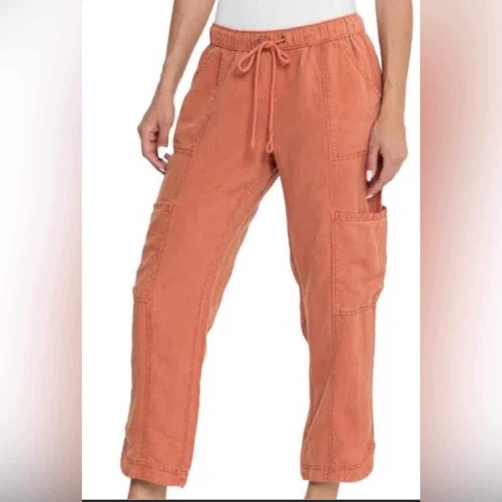 Joie women Terracotta Cargo Pants